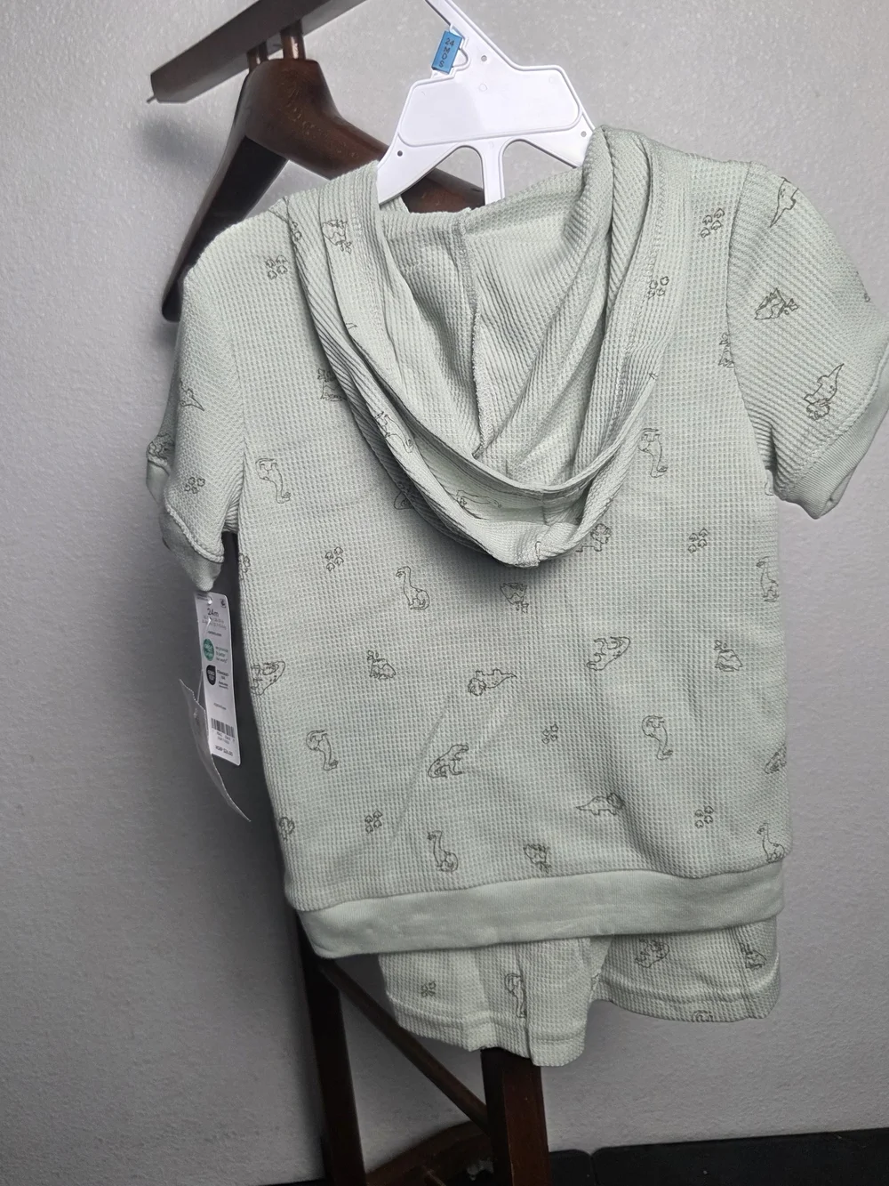Carter's Mint Green Dino Hooded Short Set